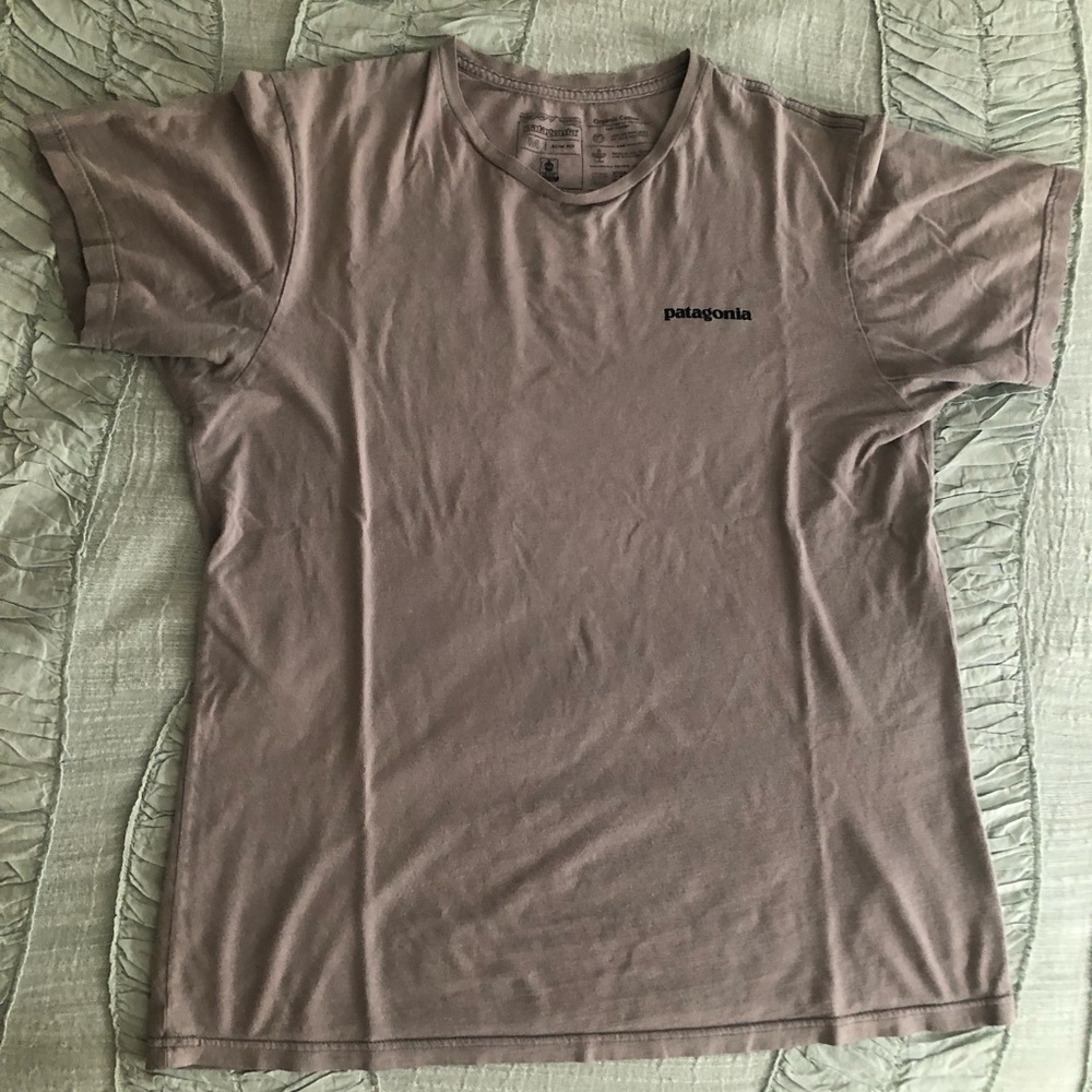Patagonia Mens Slim Fit short sleeve shirt. 100% organic cotton.